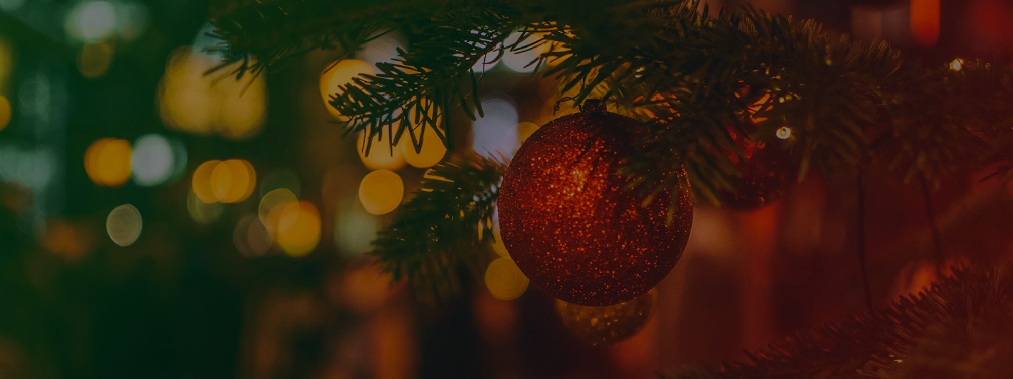 Christmas Day Message*Rev Hugh's concluding message to our devotional series*Available Christmas Day