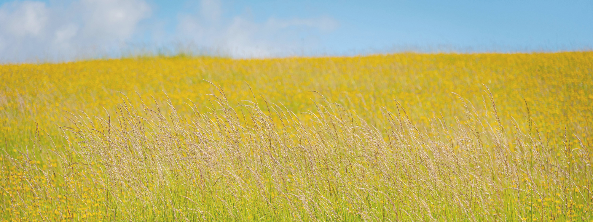 Behold Your God*Sunday Morning Series on Isaiah 40*View on YouTube